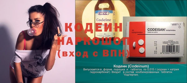 индика Великий Новгород