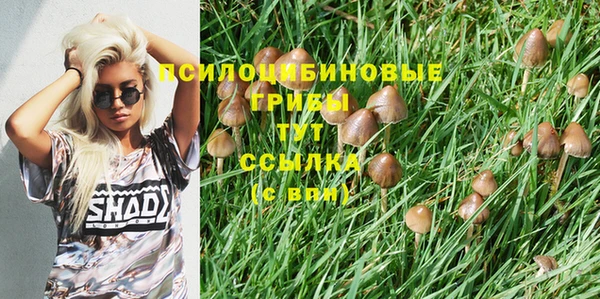 jwh Верхний Тагил