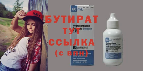 индика Великий Новгород