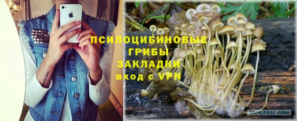 гашик Братск