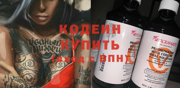 индика Великий Новгород