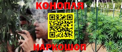 ПСИЛОЦИБИНОВЫЕ ГРИБЫ Беслан