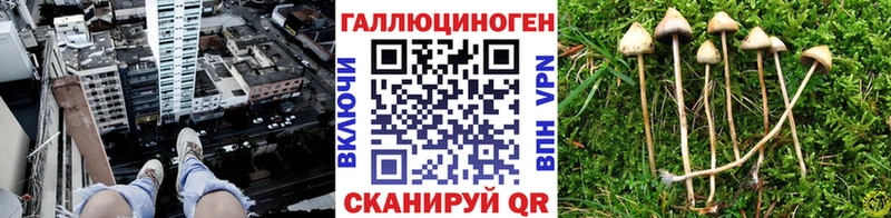 Псилоцибиновые грибы MAGIC MUSHROOMS  Вольск 