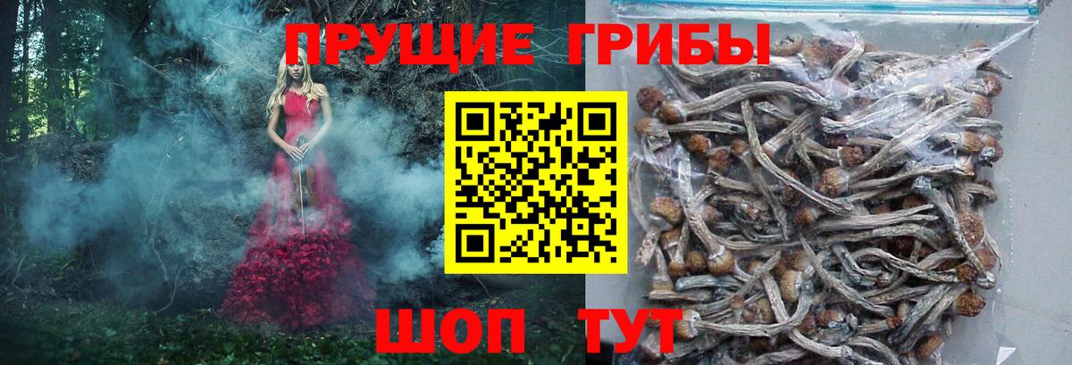 Псилоцибиновые грибы Magic Shrooms Вольск