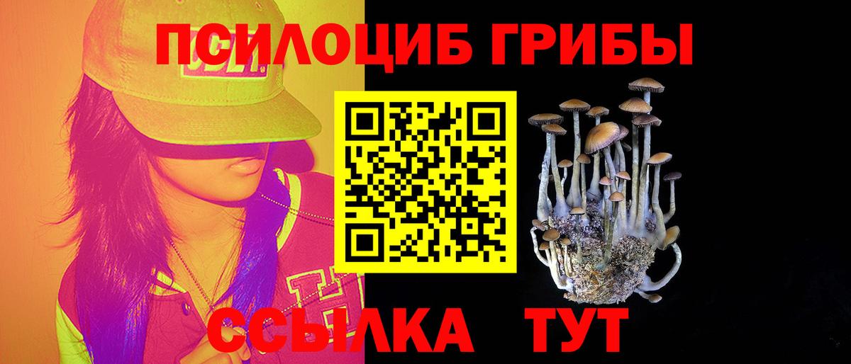 Псилоцибиновые грибы мицелий  Галлюциногенные грибы MAGIC MUSHROOMS  Вход с VPN  Вольск 